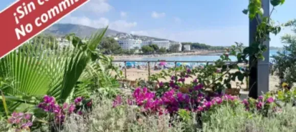 Casa de 6 dormitorios en Alcala De Xivert, Spain No. 130512 14