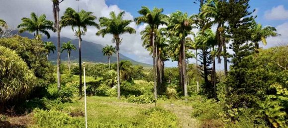 Villa de 24 divisões em Ottley's, Saint Kitts and Nevis N.º 12 10