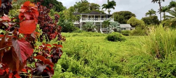 Villa de 24 divisões em Ottley's, Saint Kitts and Nevis N.º 12 4