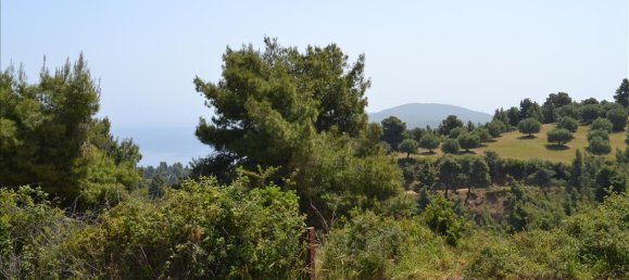  فندق في Chalkidiki, Greece 4650متر مربع رقم 6748 6