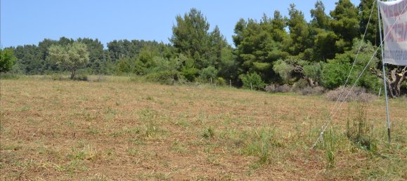  فندق في Chalkidiki, Greece 4650متر مربع رقم 6748 5