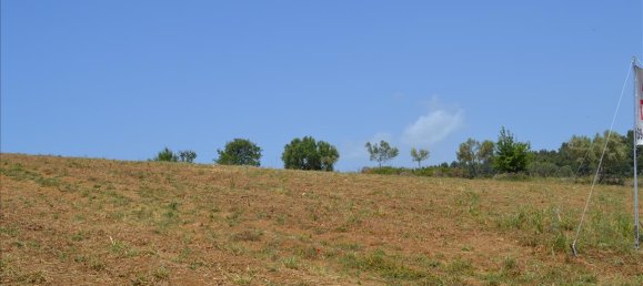  فندق في Chalkidiki, Greece 4650متر مربع رقم 6748 3