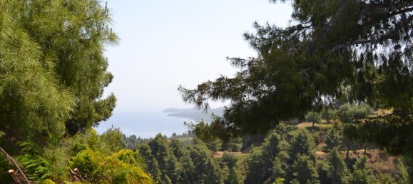  فندق في Chalkidiki, Greece 4650متر مربع رقم 6748 8