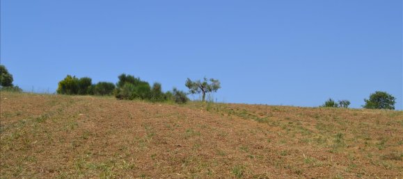  فندق في Chalkidiki, Greece 4650متر مربع رقم 6748 2