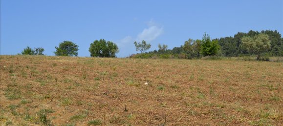  فندق في Chalkidiki, Greece 4650متر مربع رقم 6748 4