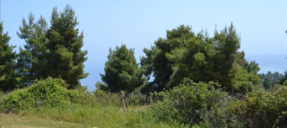  فندق في Chalkidiki, Greece 4650متر مربع رقم 6748 7