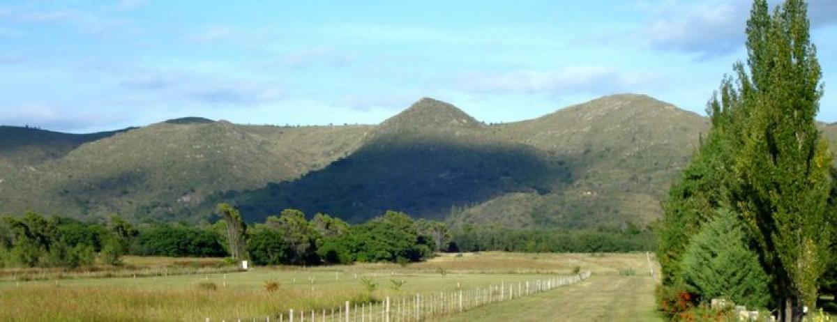 Terrain à Cordoba, Argentina No. 44359