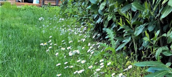 3 Schlafzimmer Villa in Ronciglione, Italy, Nr. 355316 49