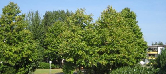 2 bedrooms Apartment in Rhein-Sieg, Germany No. 123569 3