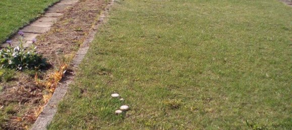 1 غرف نوم شقة في Hanover, Germany رقم 269603 12