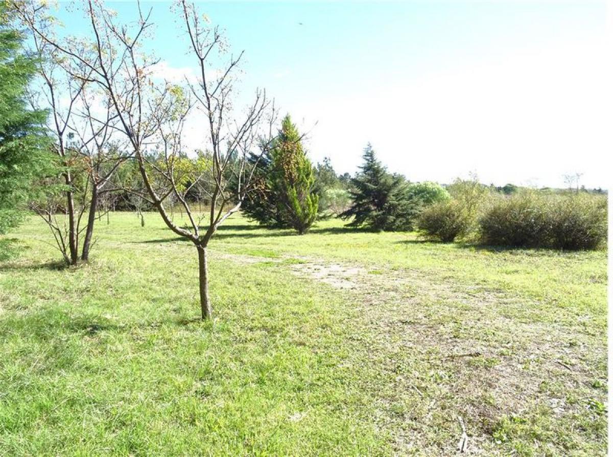  Land in Cordoba, Argentina No. 48932