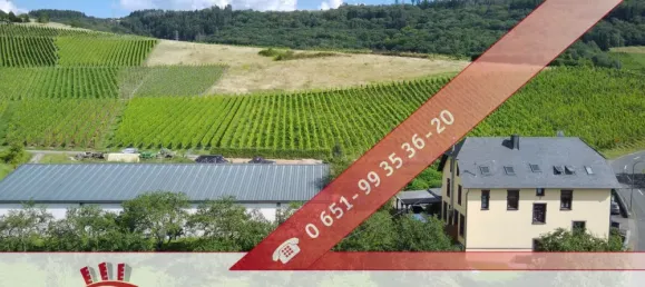 Кафе / ресторан 173м² в Трир-Саарбург, Германия № 230185 2