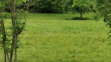  Land in Rosegg, Austria No. 232541