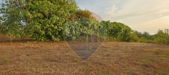 2 Schlafzimmer Haus in Coimbra, Portugal, Nr. 180398 17