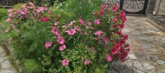 4 bedrooms House in Santona, Spain No. 154404 5