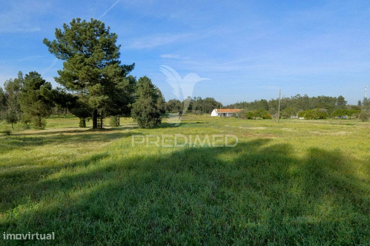 15160m² Land in Salvaterra de Magos, Portugal No. 89009