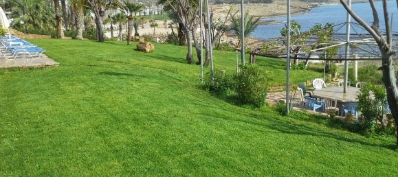 Propriedade comercial T6 em Chloraka, Cyprus N.º 9885 9