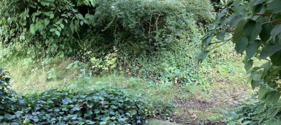 Casa T2 em Main-Kinzig, Germany N.º 220951 38