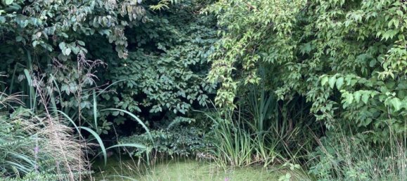 Casa T2 em Main-Kinzig, Germany N.º 220951 48