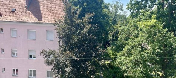 2 rooms Apartment in Eggenberg, Austria No. 231477 3