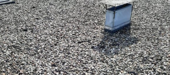 Квартира с 1 спальней в Обербергиш, Германия № 219067 17