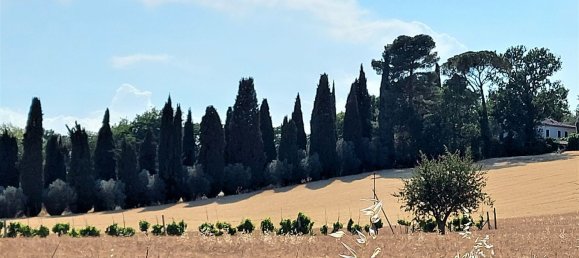 17 rooms Villa in Jesi, Italy No. 63075 3