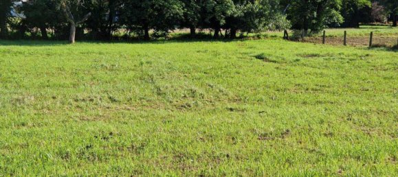 Дом с 4 комнатами в Оллерсдорф им Бургенланд, Австрия № 159307 6