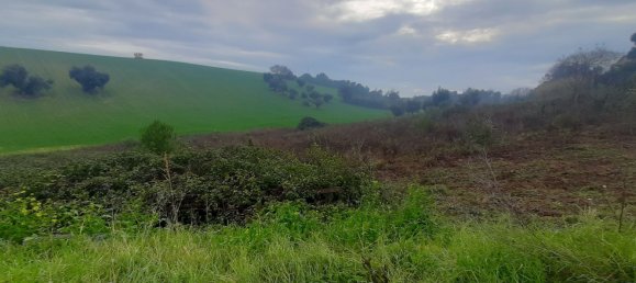 Grundstück in Porto Recanati, Italy 7291m², Nr. 229458 21