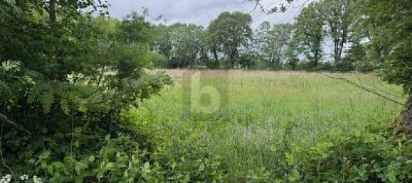  قطعة أرض في Pinneberg, Germany 10164متر مربع رقم 309931 3