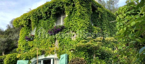 4 bedrooms House in Camaiore, Italy No. 250958 16