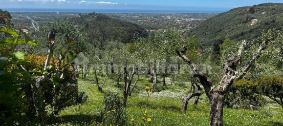 4 bedrooms House in Camaiore, Italy No. 250958 4