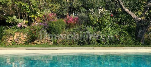 4 bedrooms House in Camaiore, Italy No. 250958 10