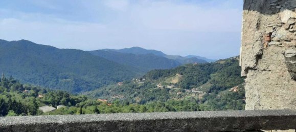 30 rooms Villa in Castiglione Chiavarese, Italy No. 155925 18