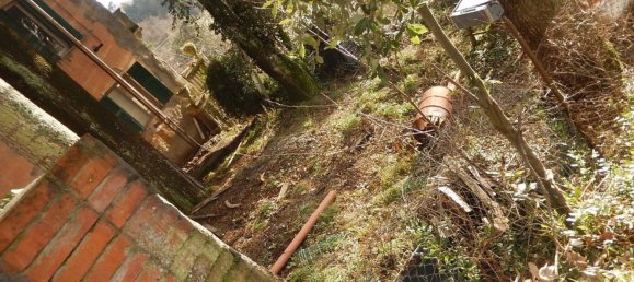 30 rooms Villa in Castiglione Chiavarese, Italy No. 155925 8