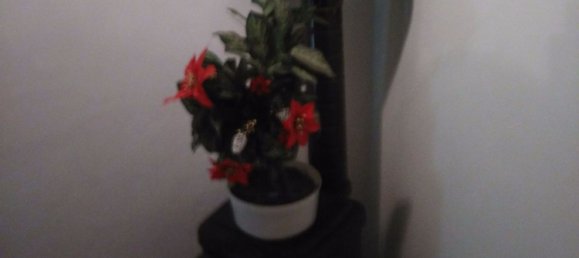 12غرفة منزل في Sambuca Pistoiese, Italy رقم 105477 16