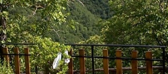 12غرفة منزل في Sambuca Pistoiese, Italy رقم 105477 4