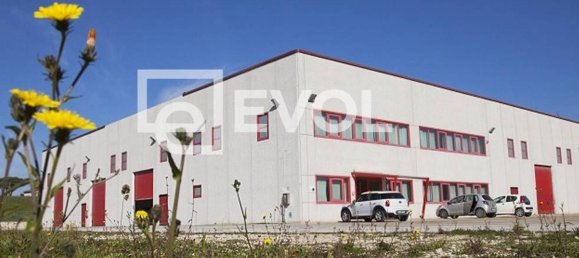 Коммерческая недвижимость 800м² в Порденоне, Италия № 128956 7