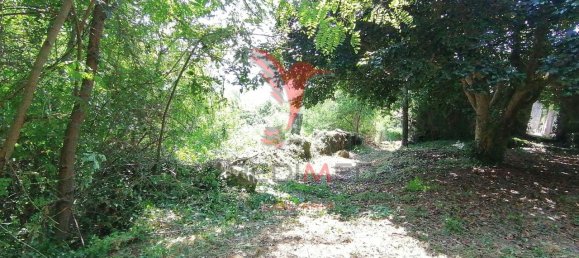 7 chambres Maison à Marco de Canaveses, Portugal No. 39569 20