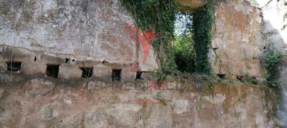 7 chambres Maison à Marco de Canaveses, Portugal No. 39569 26