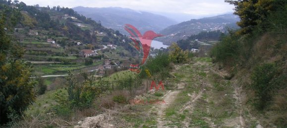 7 chambres Maison à Marco de Canaveses, Portugal No. 39569 11