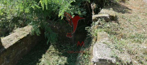 7 chambres Maison à Marco de Canaveses, Portugal No. 39569 29