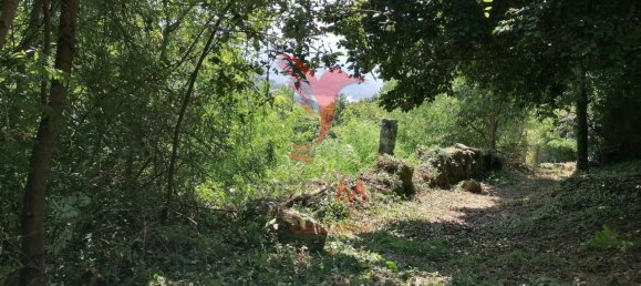 7 chambres Maison à Marco de Canaveses, Portugal No. 39569 16