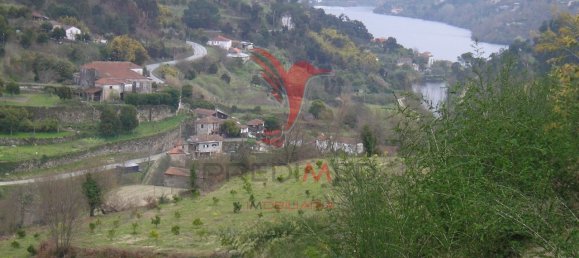7 chambres Maison à Marco de Canaveses, Portugal No. 39569 2