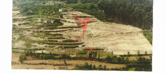 7 chambres Maison à Marco de Canaveses, Portugal No. 39569 7