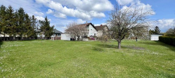 4غرفة منزل في Ebreichsdorf, Austria رقم 231721 6