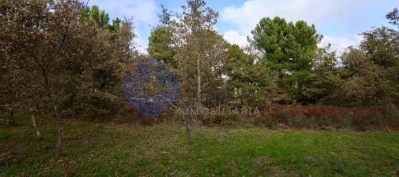 Terreno en Baiao, Portugal 15000 m² No. 37846 8