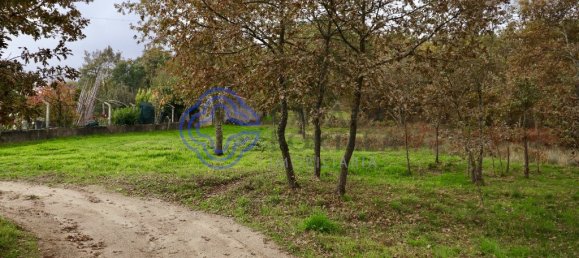 Terreno en Baiao, Portugal 15000 m² No. 37846 5