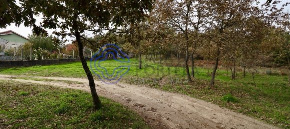 Terreno en Baiao, Portugal 15000 m² No. 37846 2