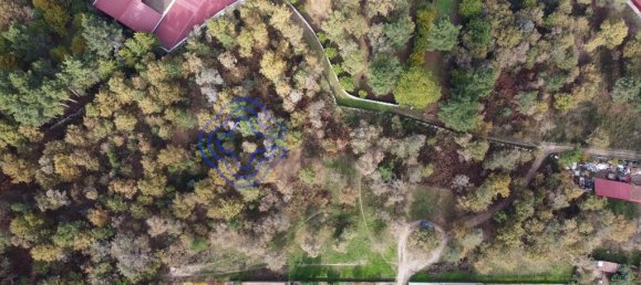 Terreno en Baiao, Portugal 15000 m² No. 37846 14