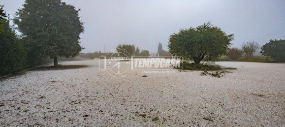 5 rooms Villa in Cesena, Italy No. 260568 33